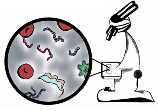 Picture of Pioneer Valley Microbiology Symposium