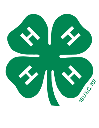 Mass 4-H Youth Development Program