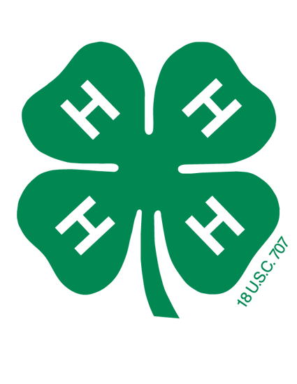 Mass 4-H Youth Development Program