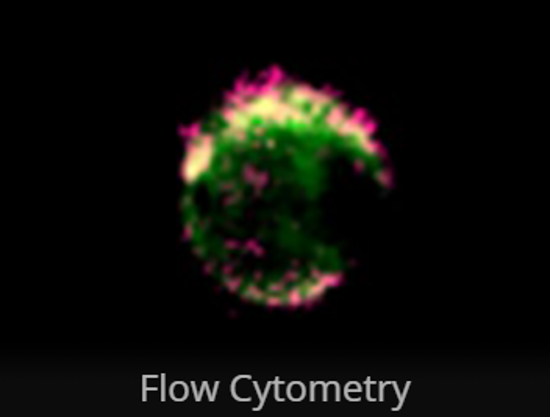 Picture of IALS Flow Cytometry