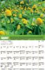 Image of a sample page for August
