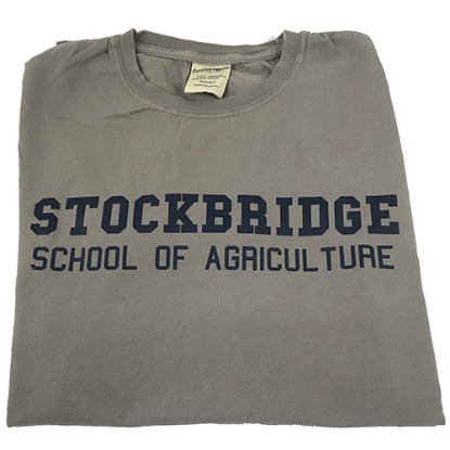 Gray Short Sleeve Gym Style T-Shirt with full name of school in blue block letters