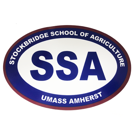 Picture of Large Vinyl Magnet